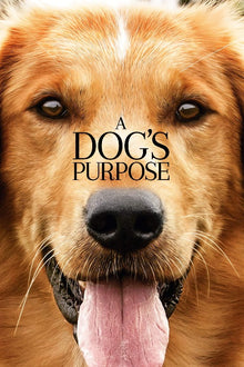  A Dog's Purpose - HD (Movies Anywhere)