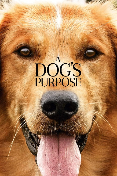 A Dog's Purpose - HD (Movies Anywhere)