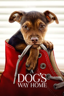  A Dog's Way Home - HD (Movies Anywhere)